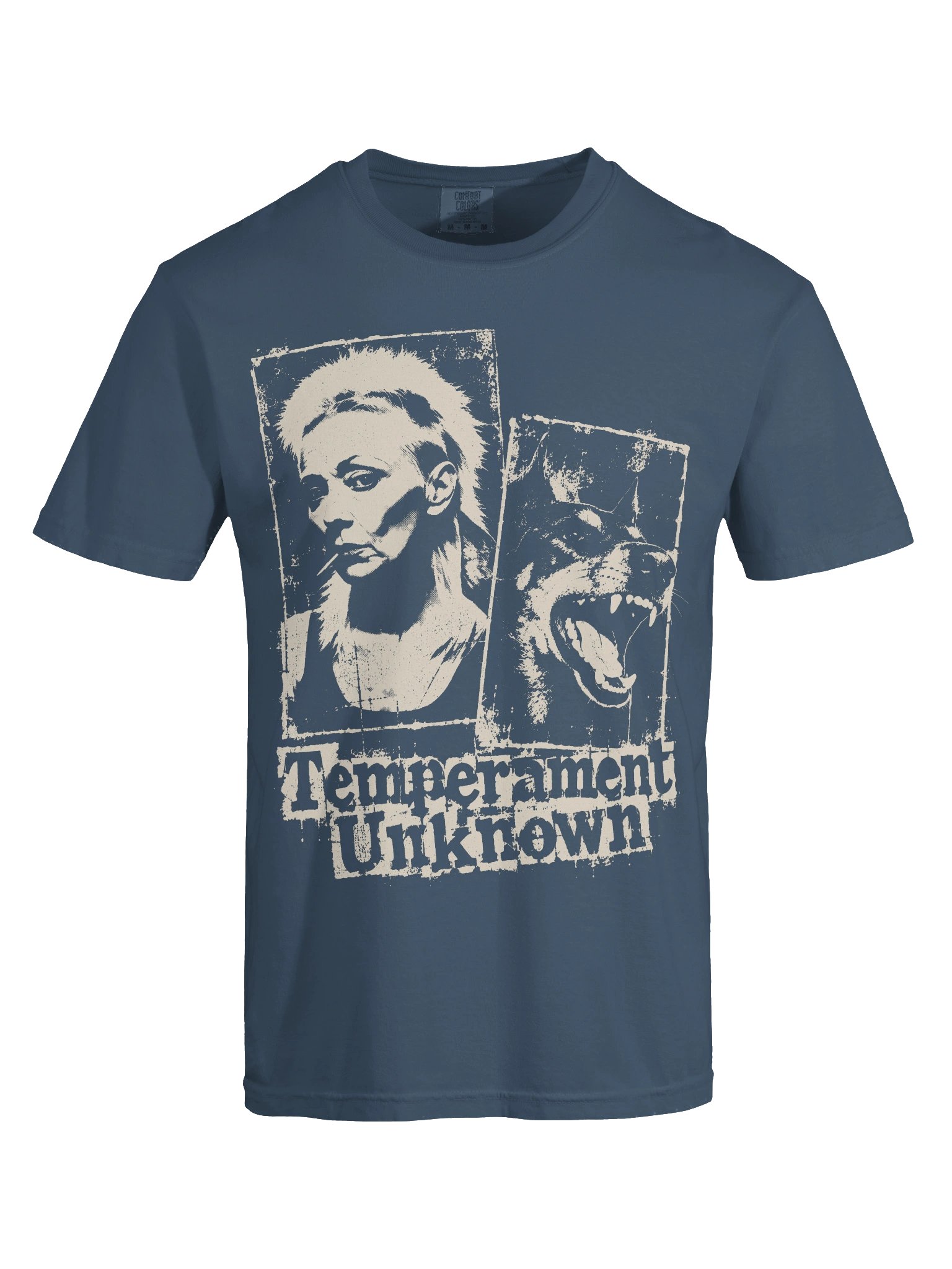 Temperament Unknown Heavyweight Vintage Graphic Tee product image (5)