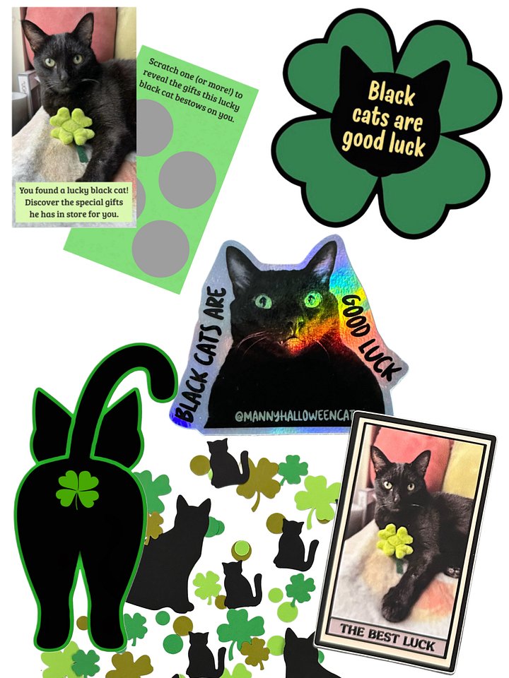 Black Cat Good Luck pack product image (1)