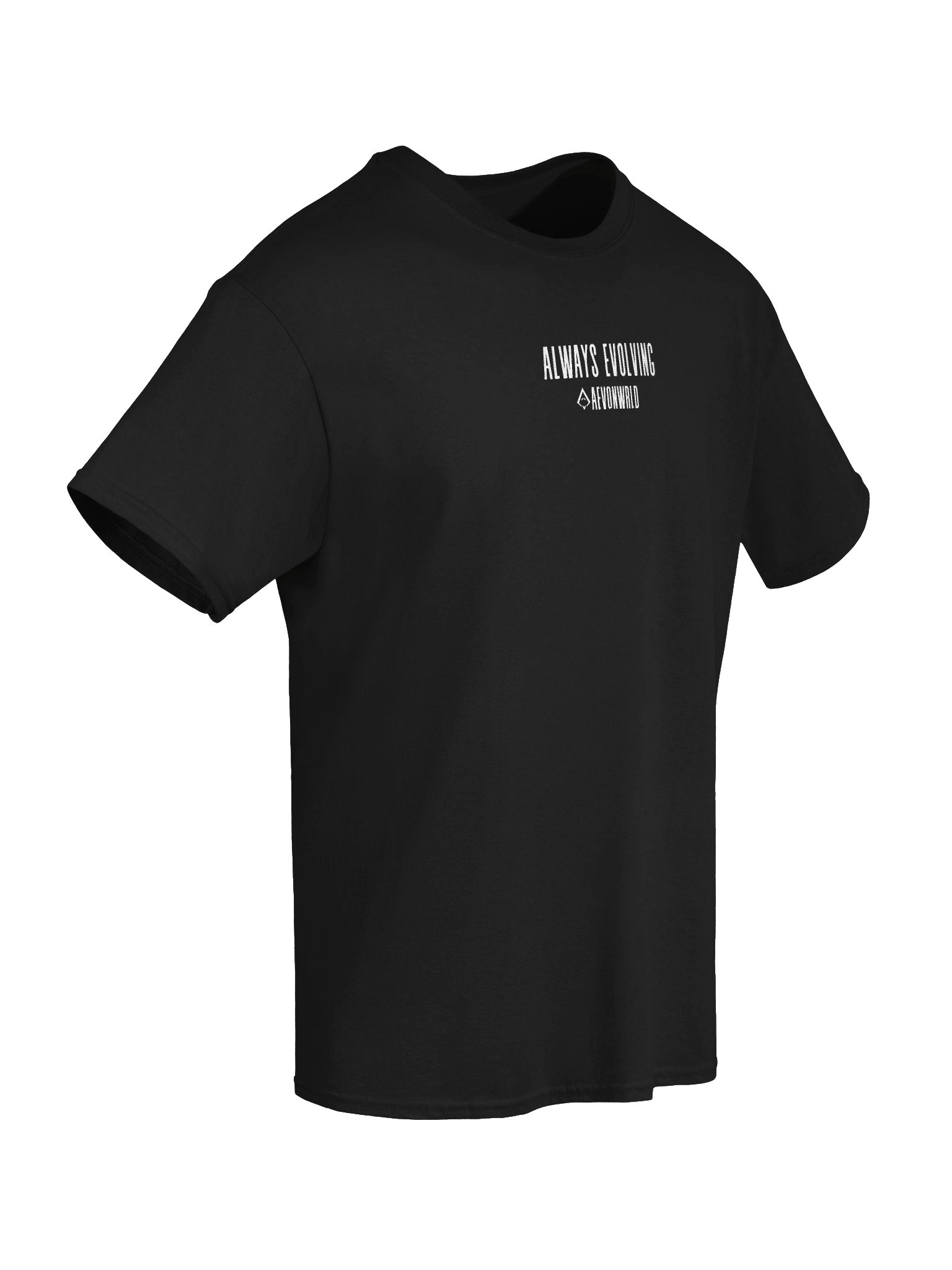 AEVONWRLD Always Evolving Tee product image (16)