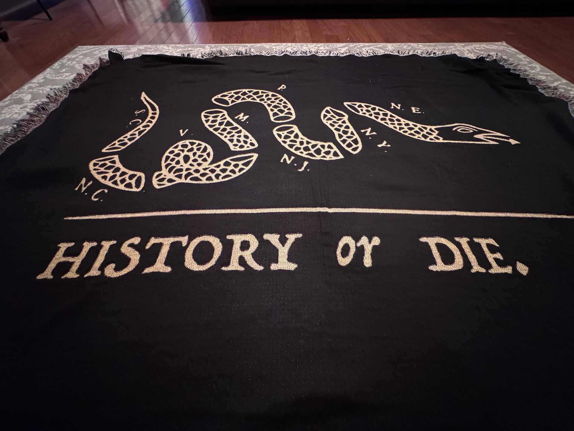 History or Die Picnic Blanket product image (6)
