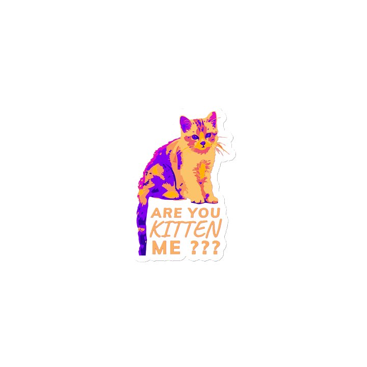 ARE YOU KITTEN ME??? product image (1)