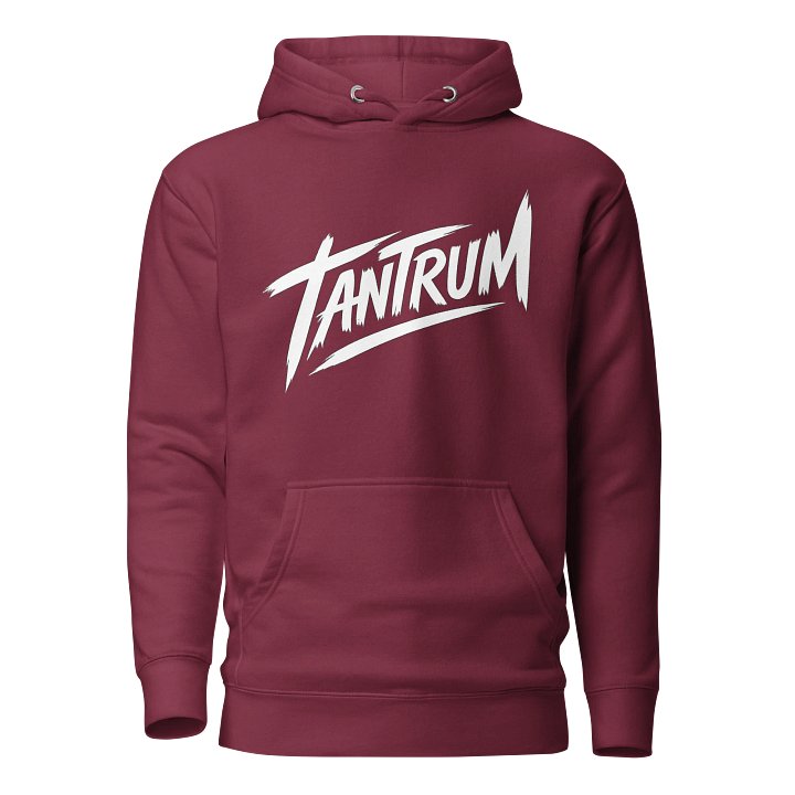 Tantrum Prologue Hoodie product image (4)