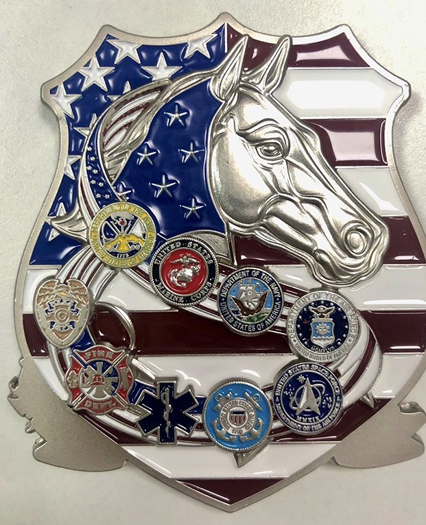 Operation Freedom Waters Challenge Coin product image (2)