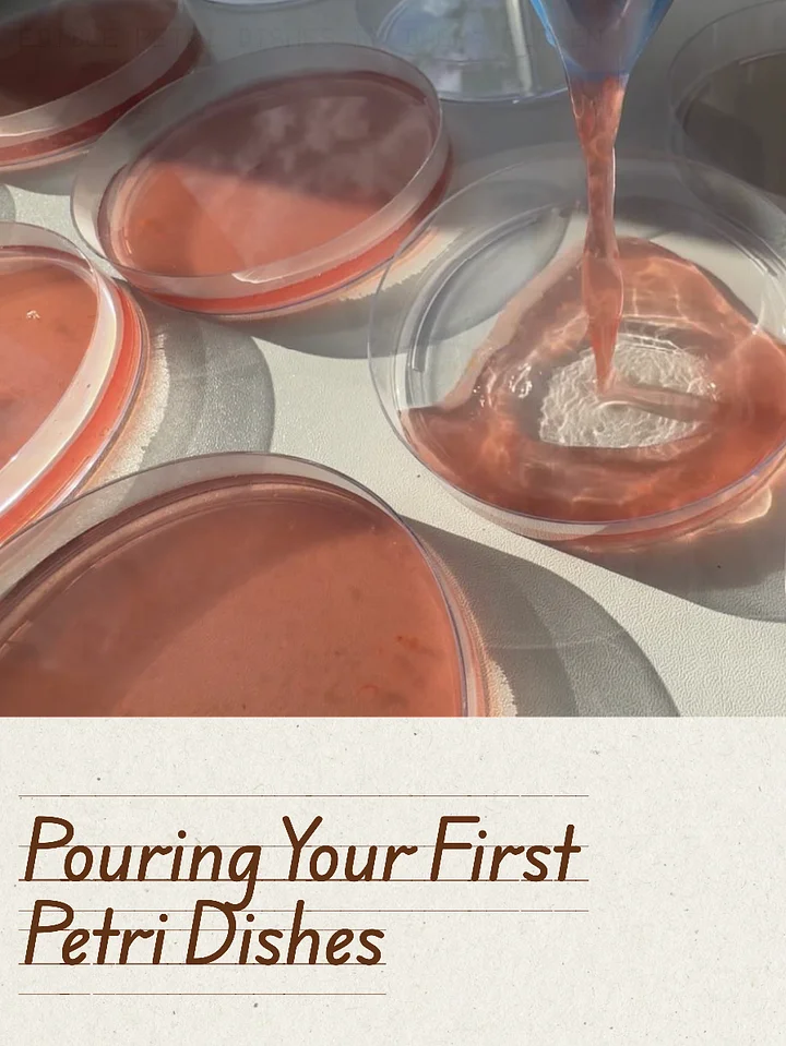 Tasty MOLD. Playbook product image (1)