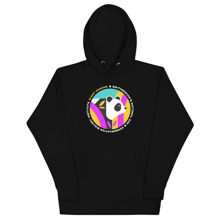 Panda Hoodie (Unisex) product image (1) Image 1