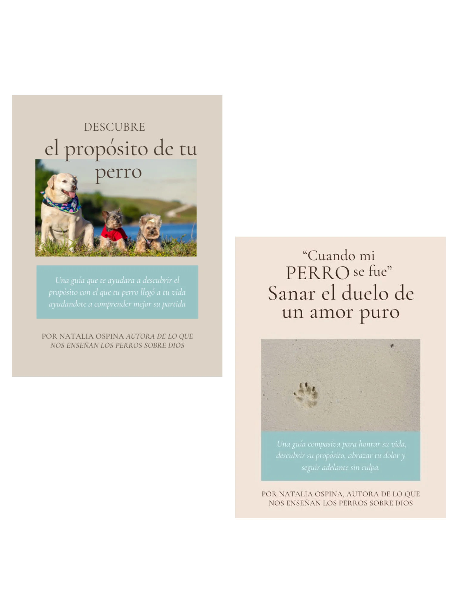 Pack Camino Completo: Del Duelo a la Sanidad y Proposito product image (1)