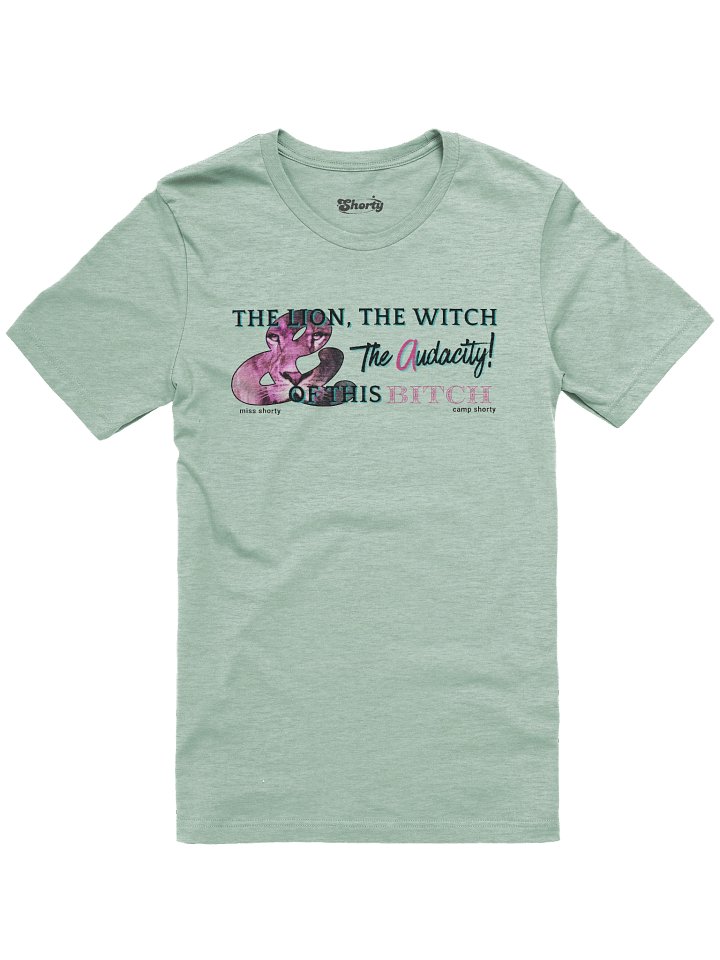 The Lion, The Witch & The Audacity v1 - Light product image (1)