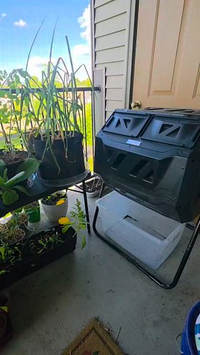 Day 11 of the Compost Challenge

#30daychallenge #garden #compost