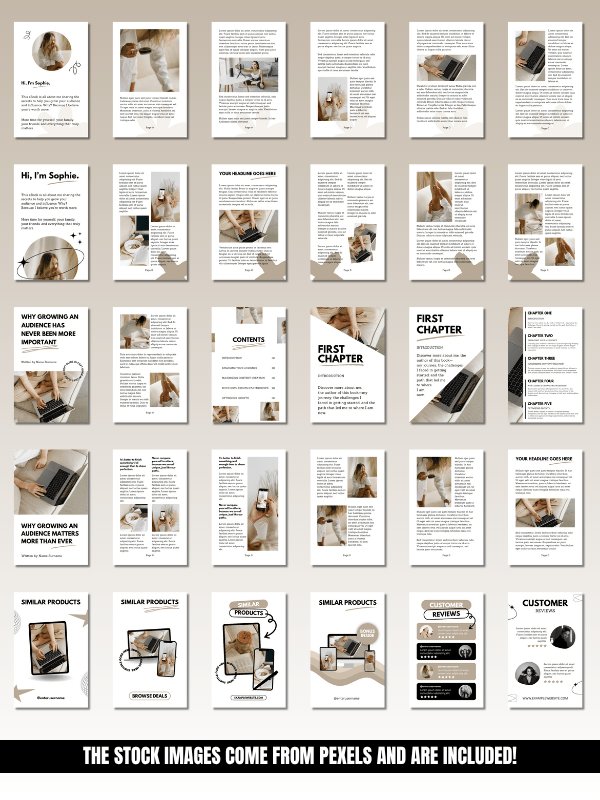 MRR/PLR Business eBook Template in Canva product image (4)