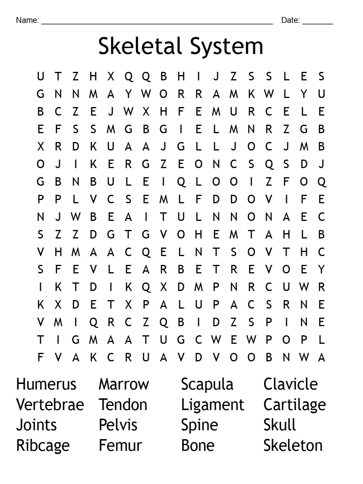 Printable Skeletal System Word Search – Fun Anatomy Puzzle Activity! product image (1)
