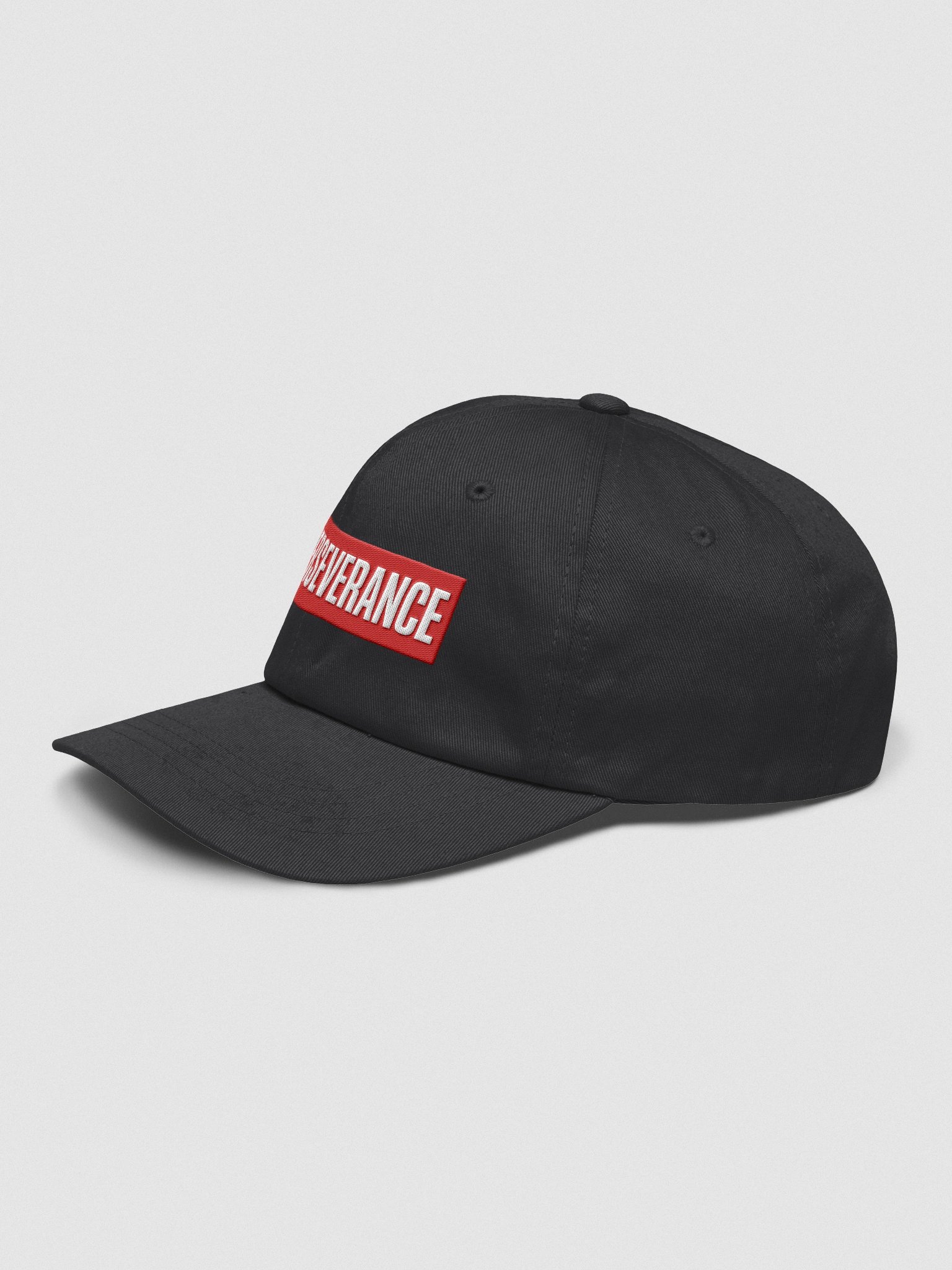 PERSEVERANCE Cap – Bold Mars Rover Hat | NASA-Inspired Space Dad Hat product image (3)