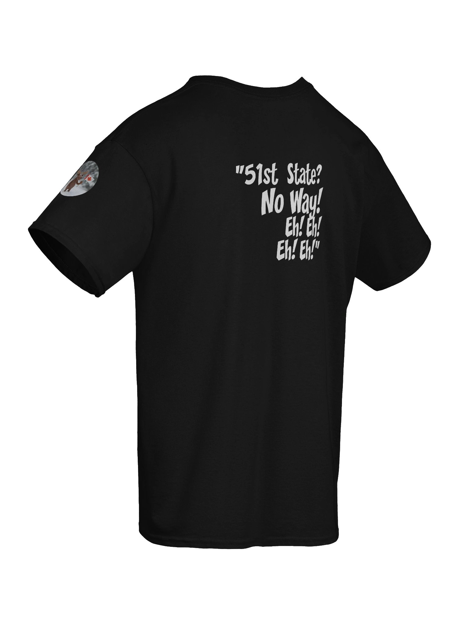 51st State? | Essential Character Ensemble Tee (Black) product image (10)