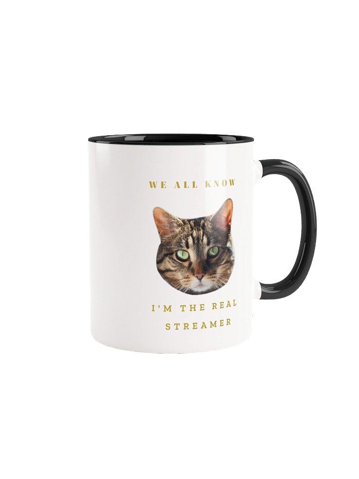The Real Streamer Mug (Left Handed) product image (1)