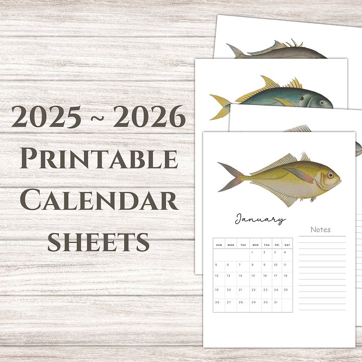 2025- 2026 PDF Calendar: Ocean Life product image (1)
