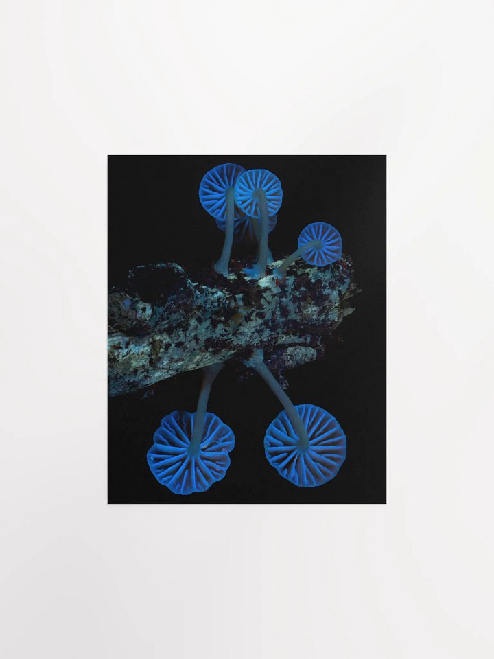 Mycena UV Print product image (2)