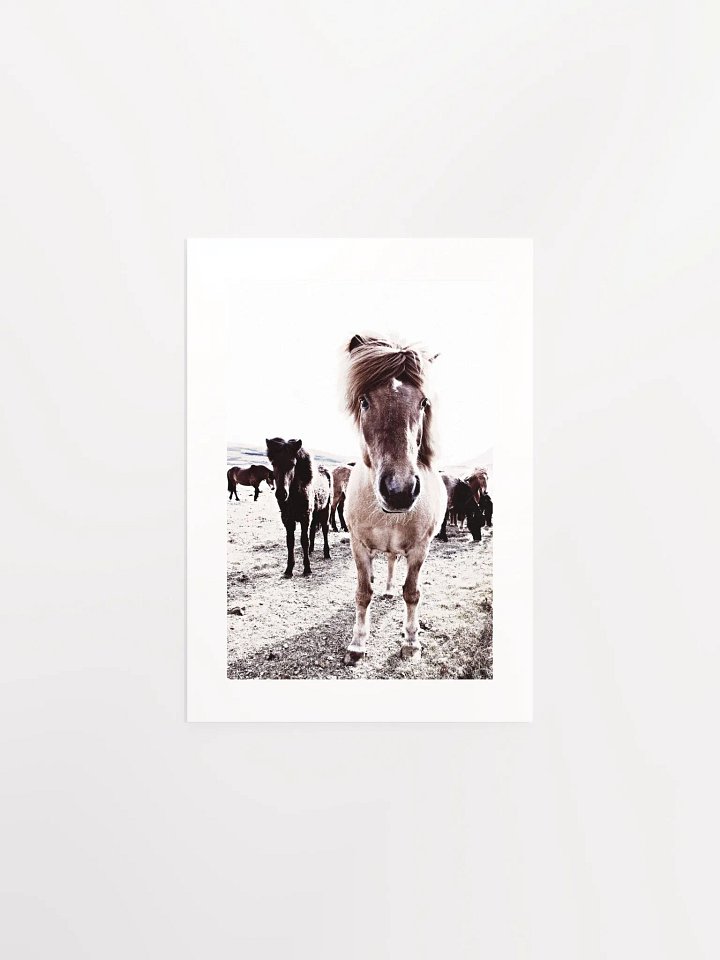 Iceland Horses Passepartout Print product image (5)