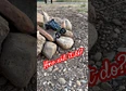 #crawler's tag thumbnail