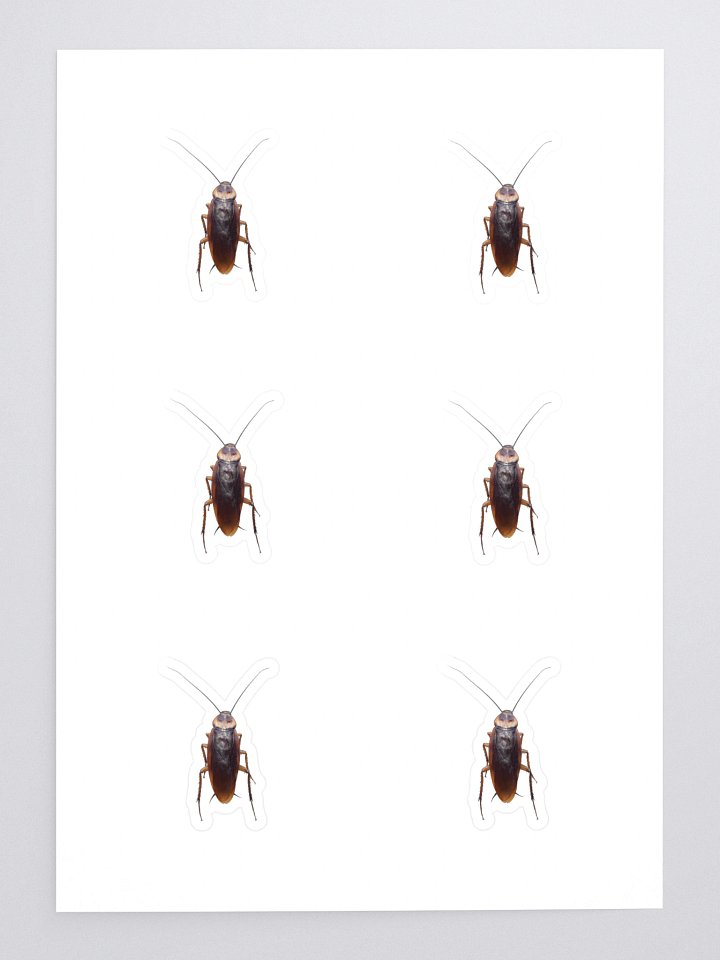 Roach Sticker product image (1)
