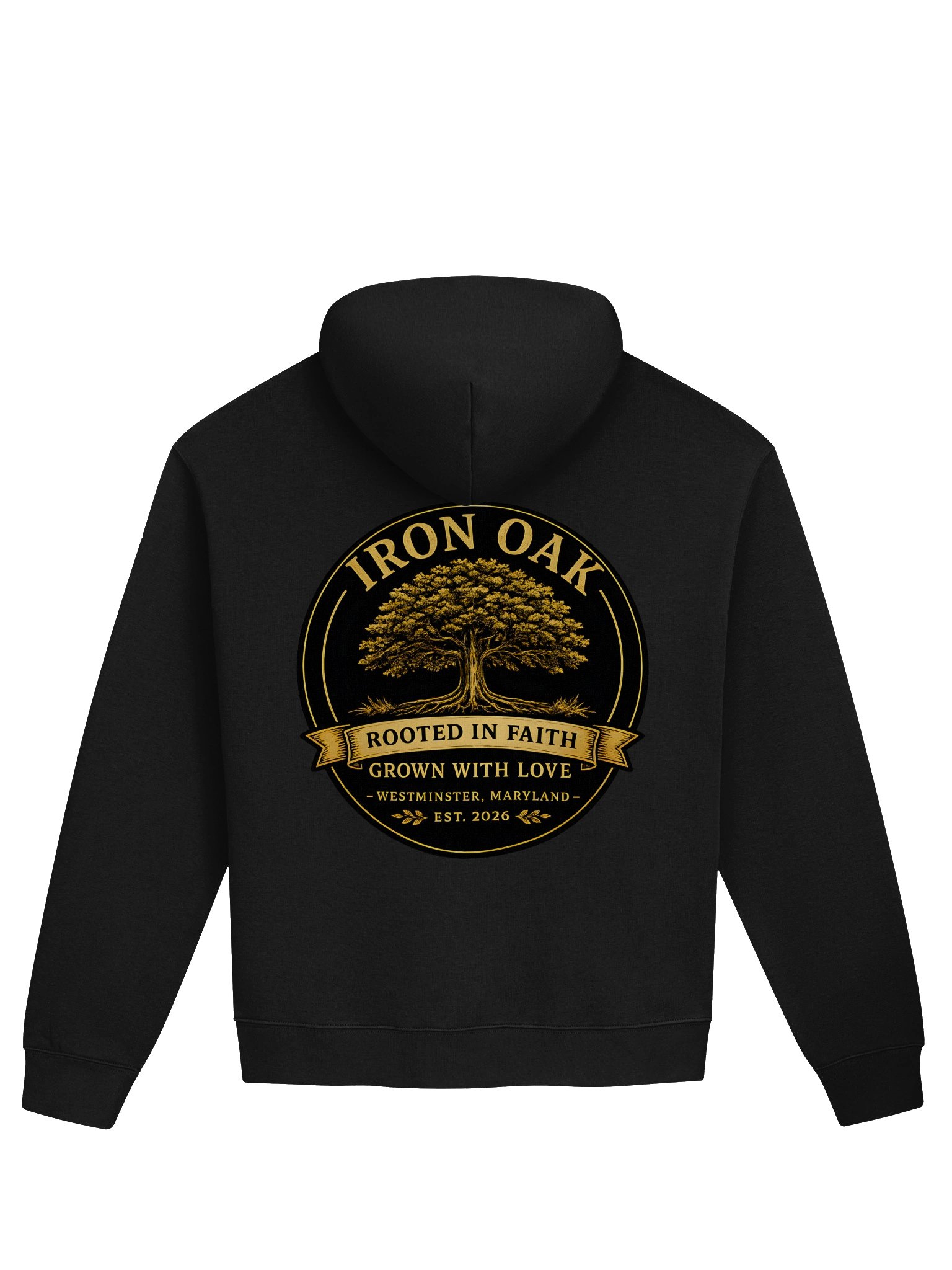 Rooted In Faith Hoodie product image (2)
