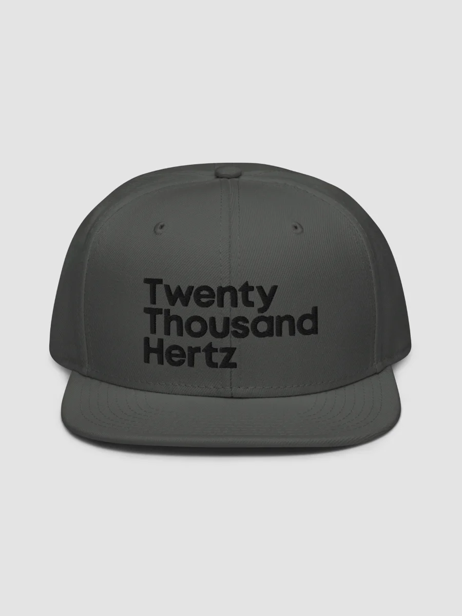 20K Flat Brim Cap product image (2)