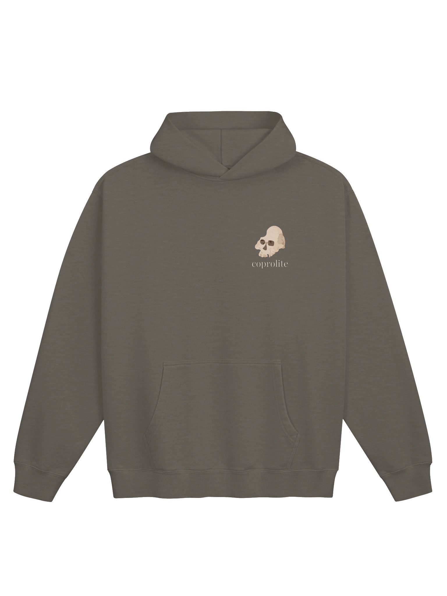 Coprolite Faded Oversized Hoodie product image (1)