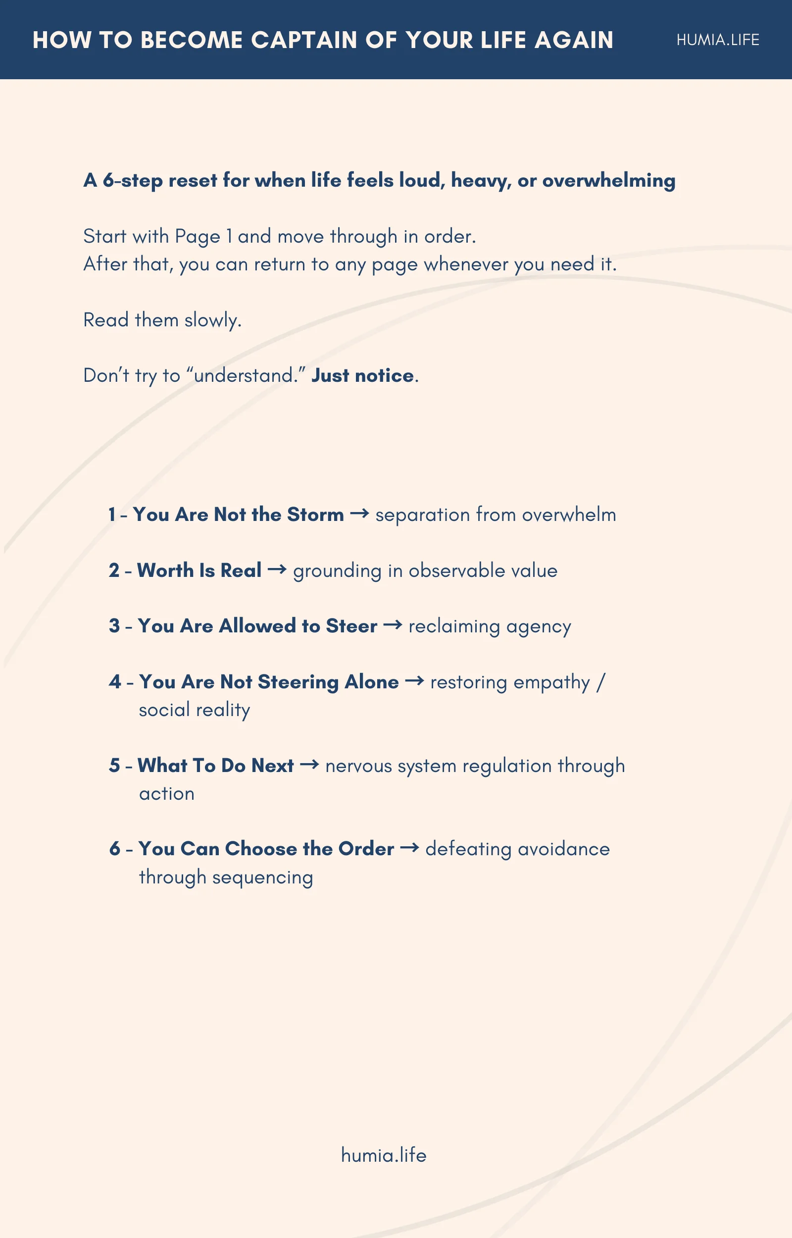 THE LENS RESET product image (1)