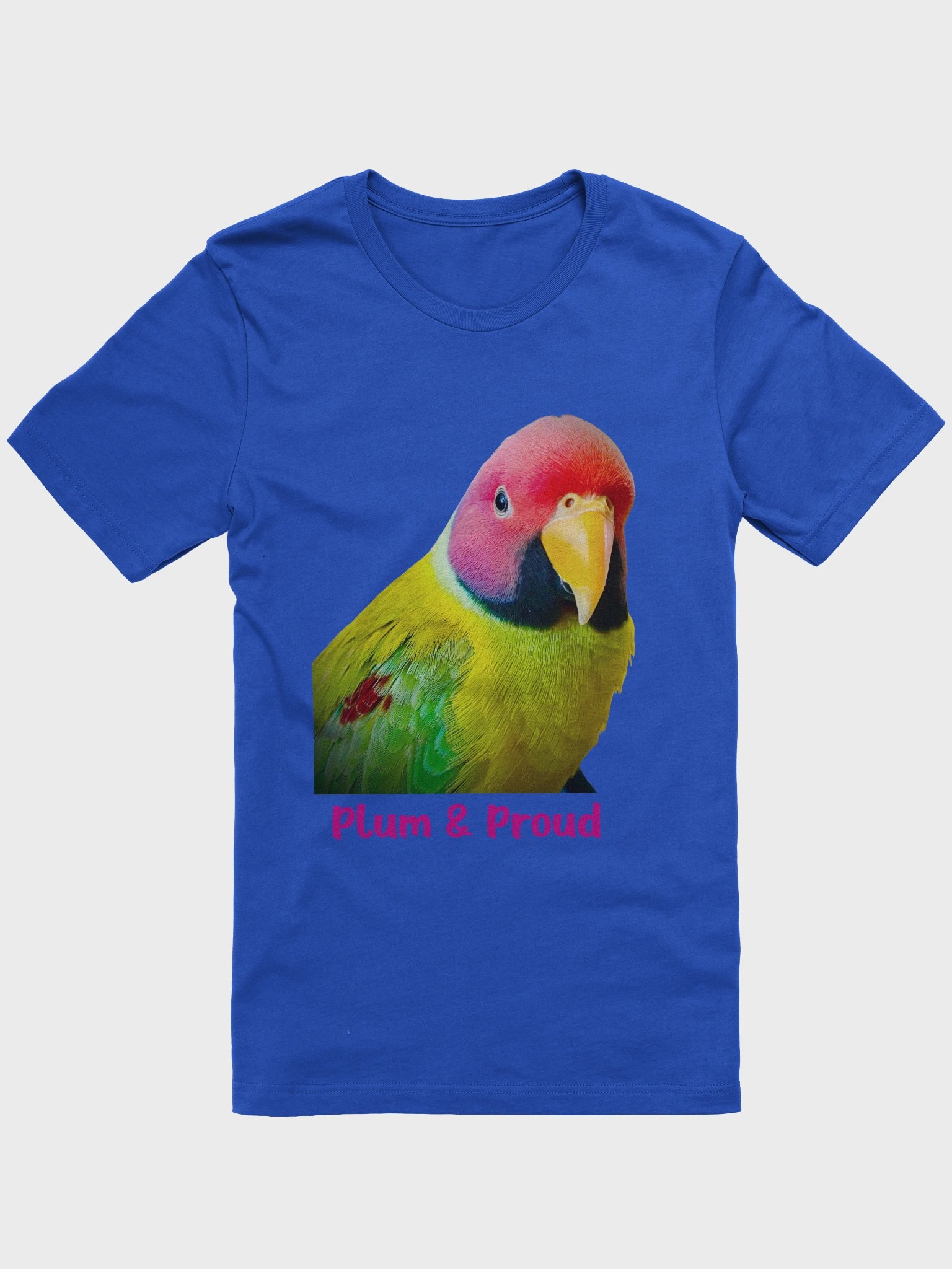 Plum-headed Parrot product image (1)