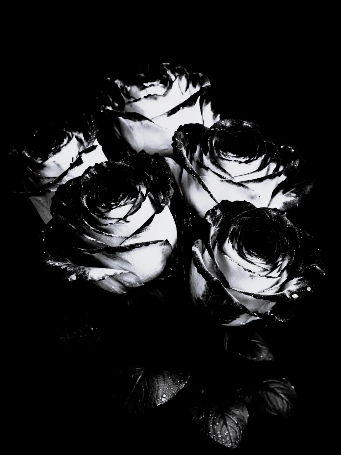 Nothing Stays Written product image (2)
