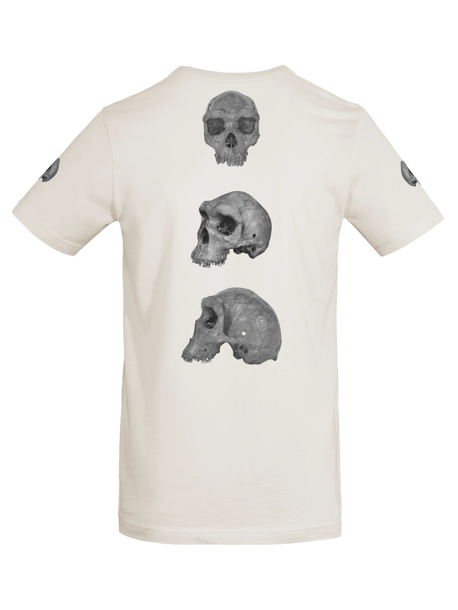 Heidelbergensis Fossil Skull T-Shirt Light product image (43)