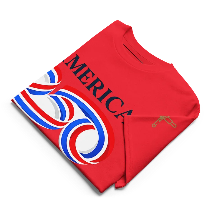 The Newhouse America250 T-Shirt product image (2)