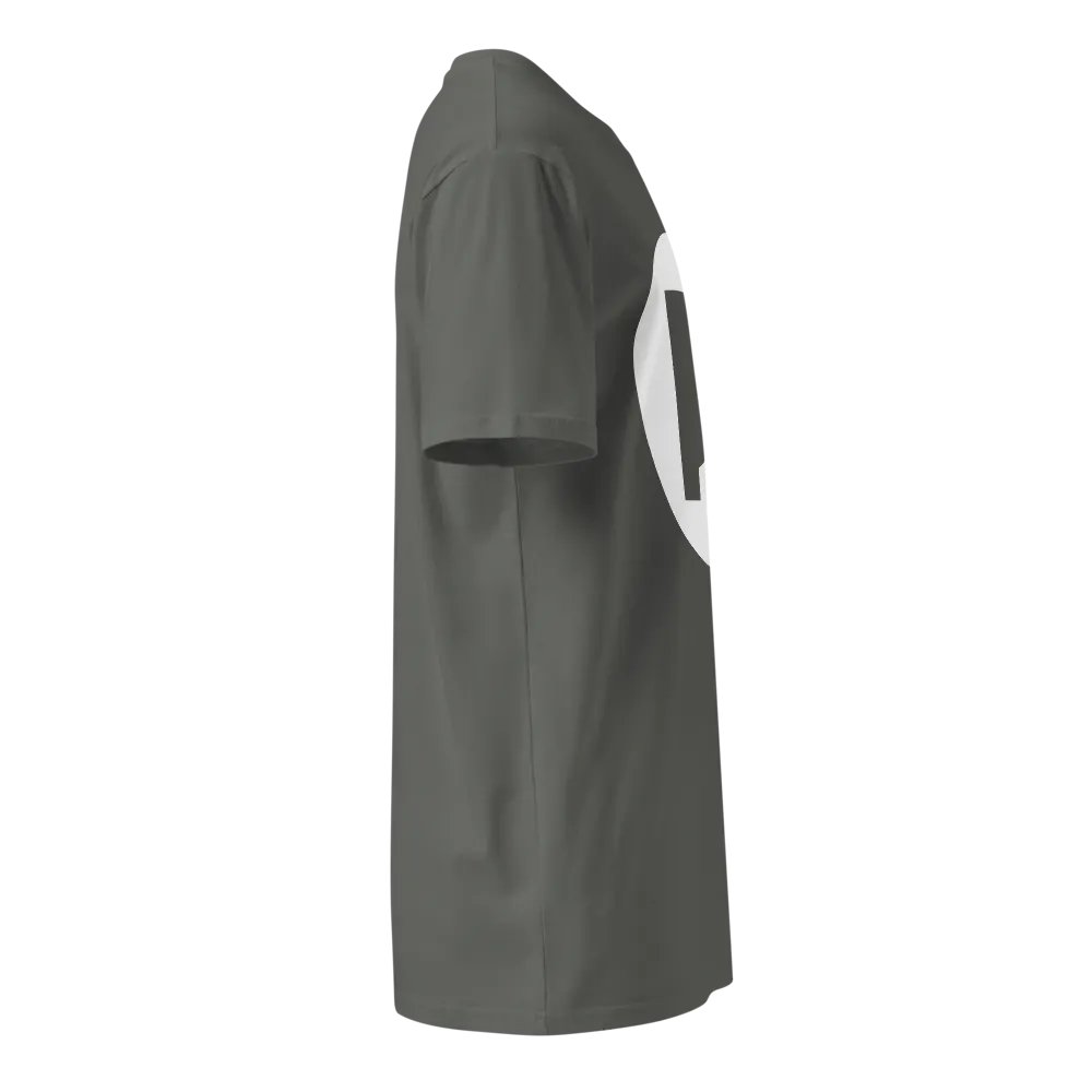 DS OG Logo Tee White/Charcoal product image (4)