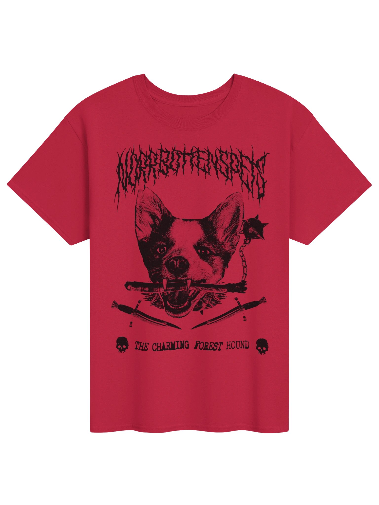 Norrbottenspets - Charming Forest Hound product image (9)