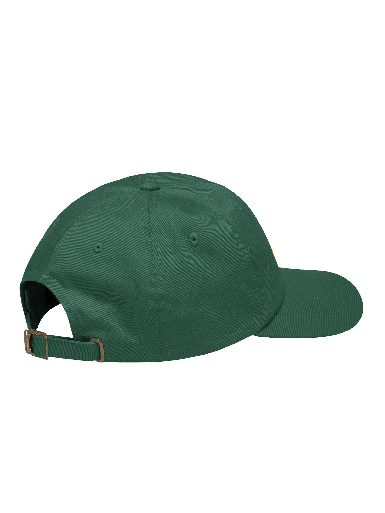 NOTHING RUNS LIKE A BEERE Dad Hat product image (4)
