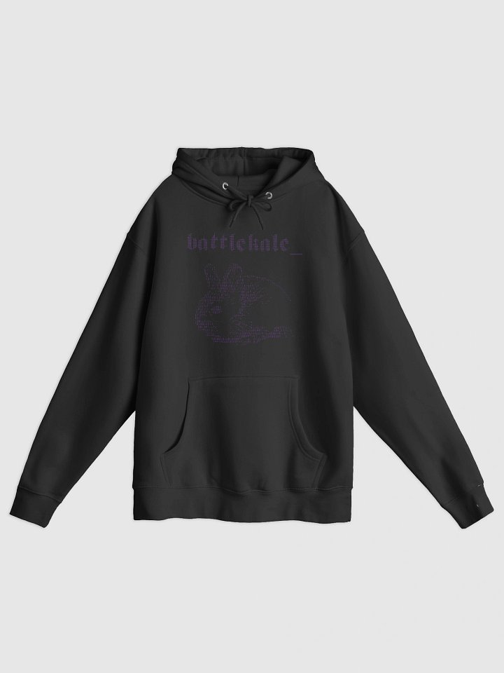 “rabb17.exe” Pullover Hoodie product image (1)