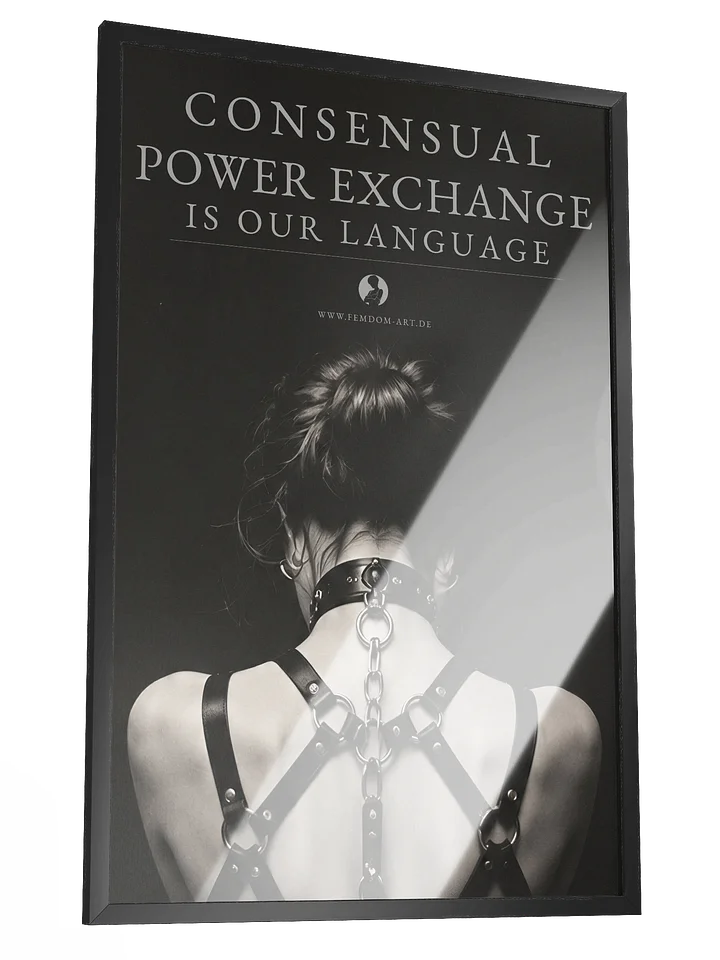 Consensual Power Exchange – Vertrauen und Hingabe product image (2)