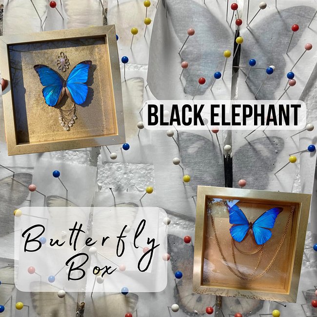 Butterfly Box