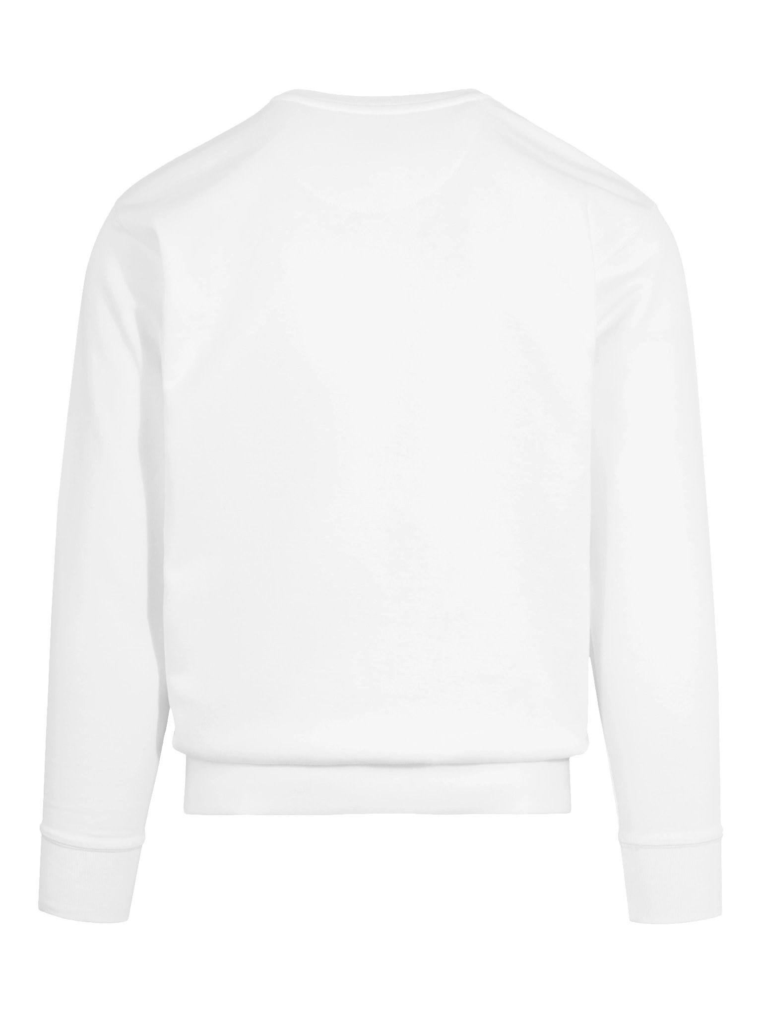 Godsent Mii Sweatshirt product image (11)