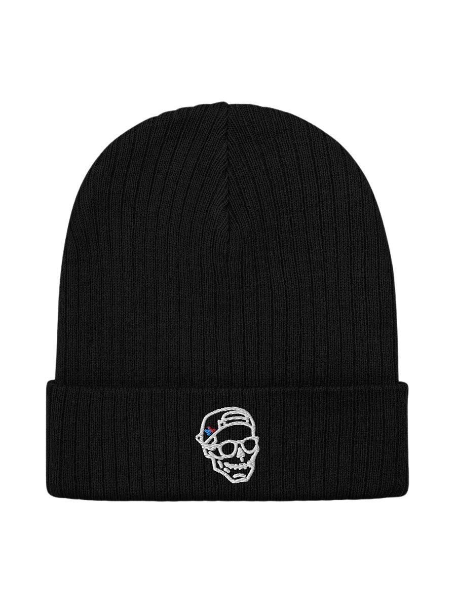 embroidered Skull - Ribbed Knit Beanie product image (1)