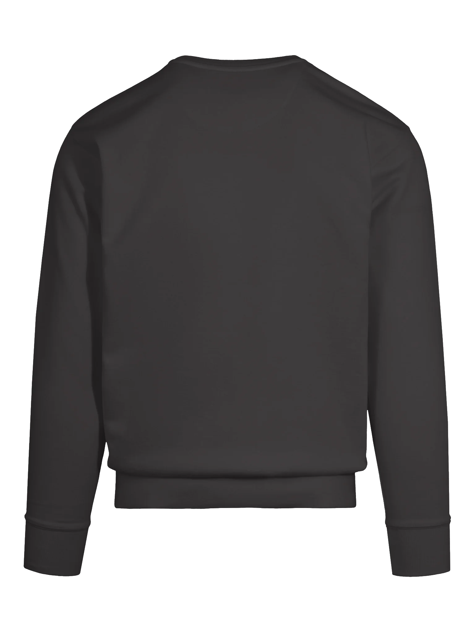 Additional Tags Sweatshirt product image (6)