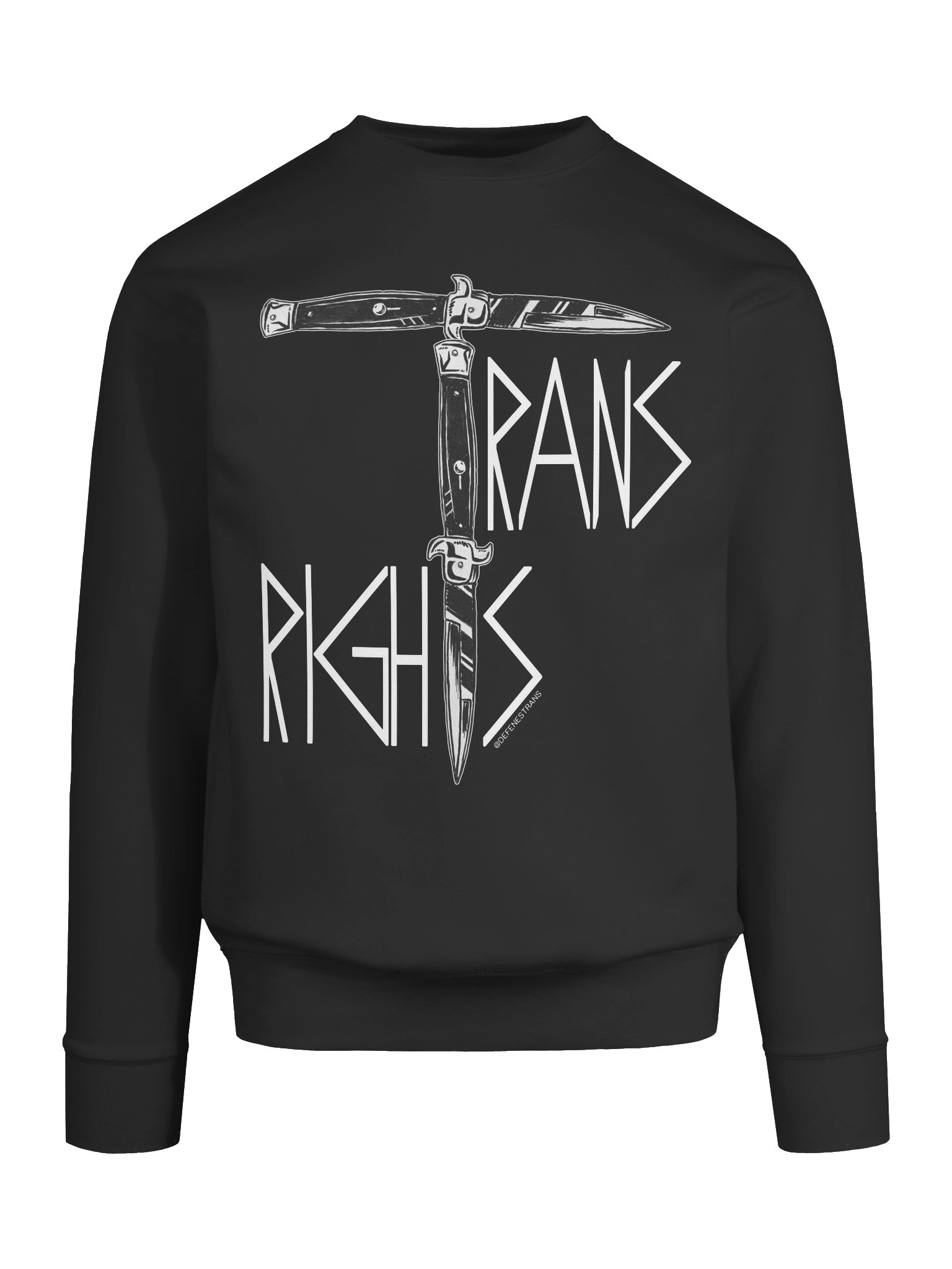 Trans Rights Sweatshirt product image (33)