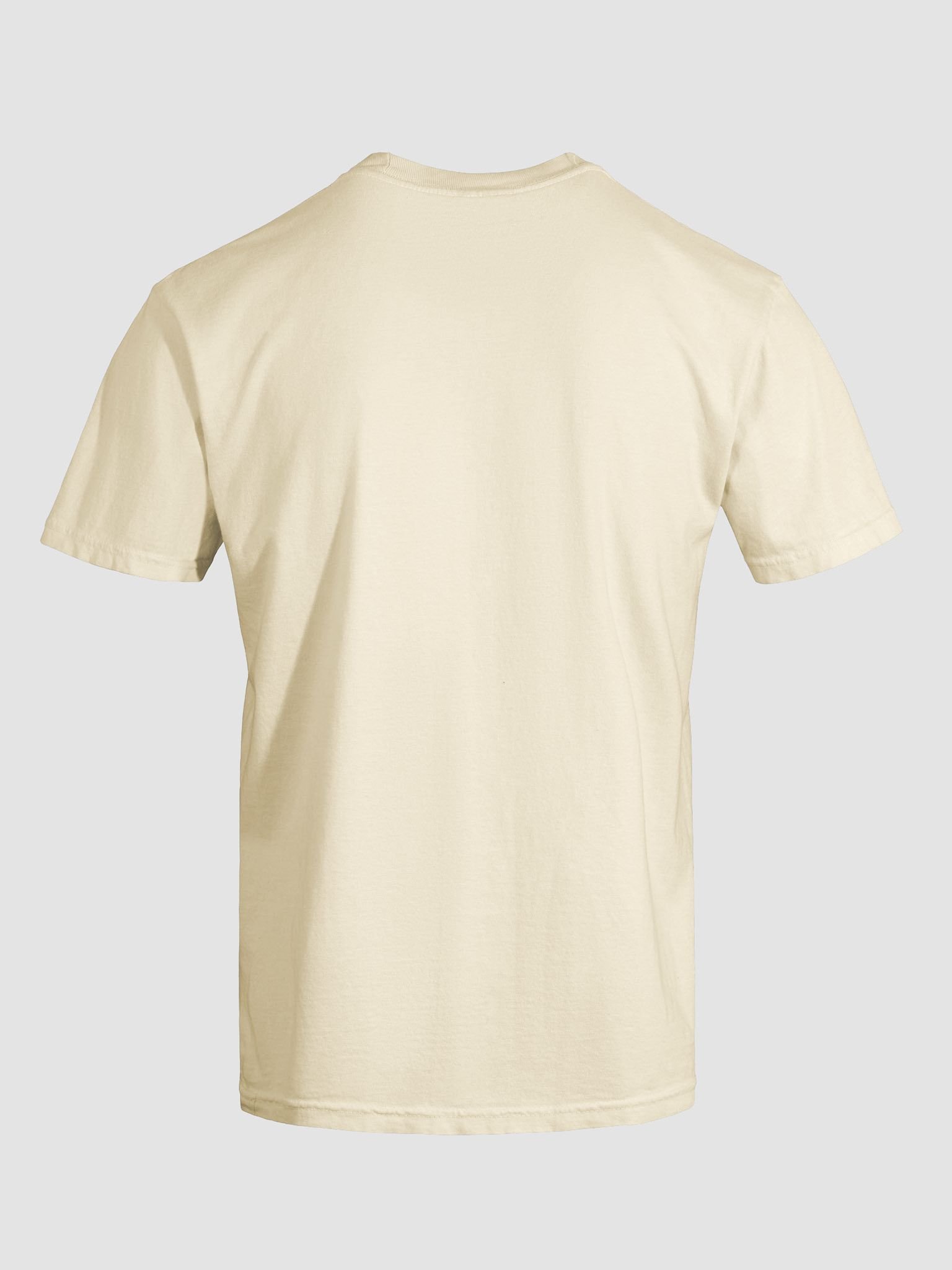 Faulted Pride Flags- Ace T Shirt product image (11)