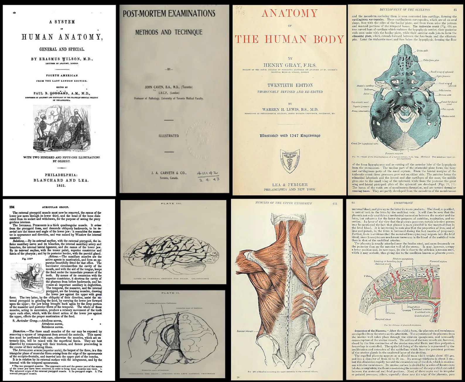 280 Rare Medical Books product image (4)
