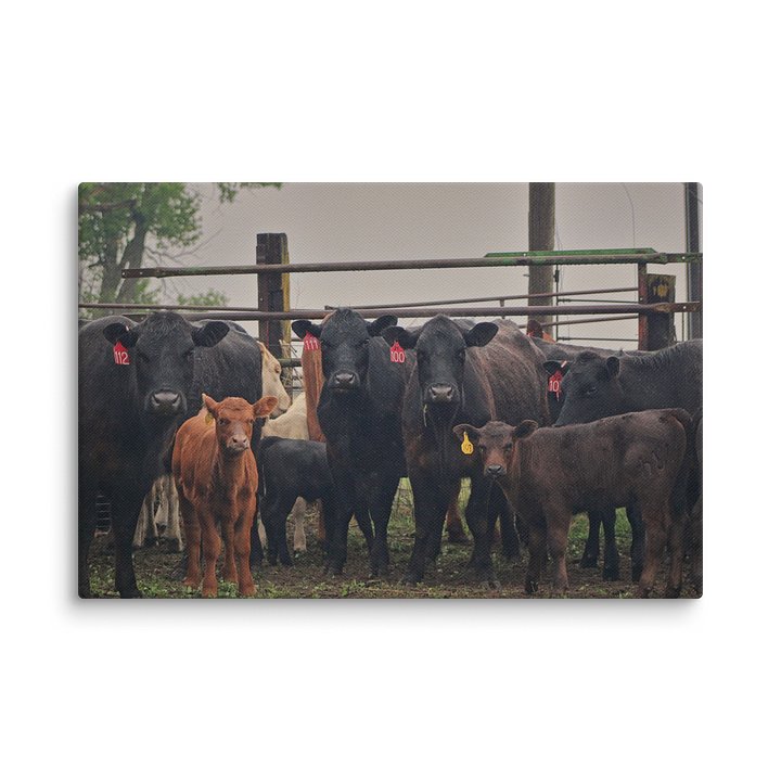 The Herd Canvas Print product image (2)