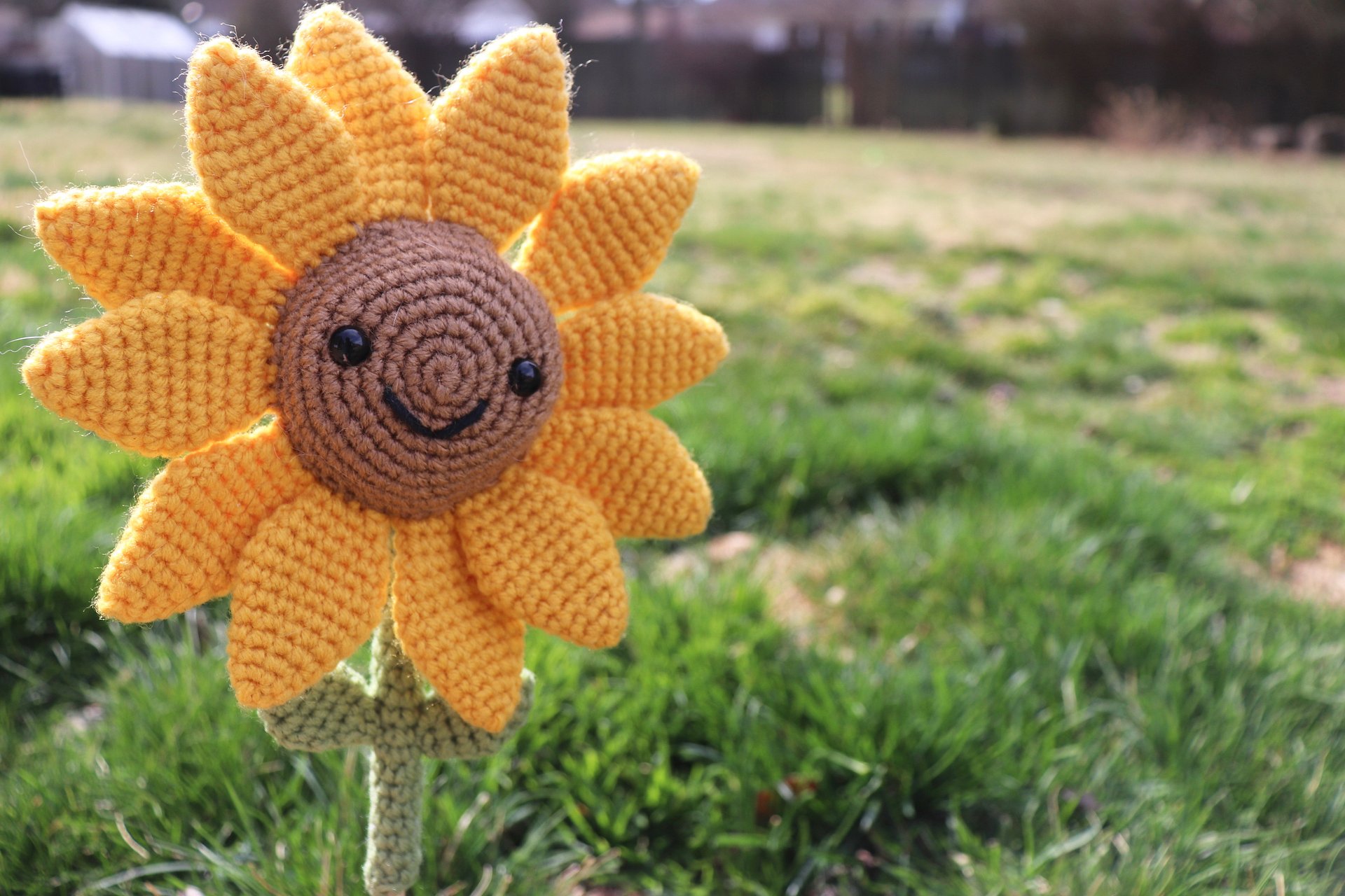 Sofia the Sunflower PDF product image (3)