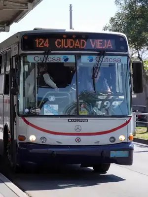 El verdadero dueño de la avenida 🐾