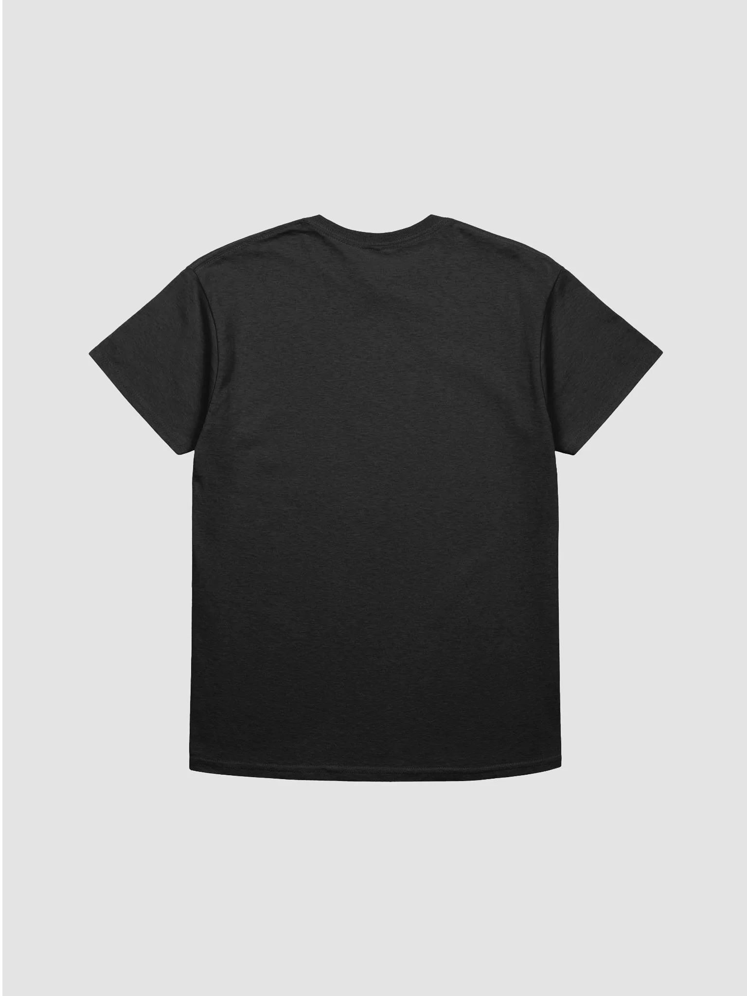 EXTRAORDINAIRE IMMIGRANT TSHIRT product image (2)