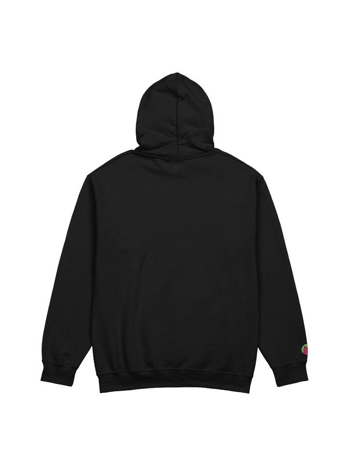 Ayyrabs Hoodie product image (16)