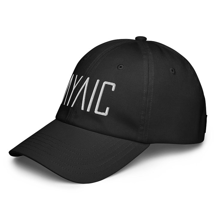 AYAIC Dad Hat product image (2)