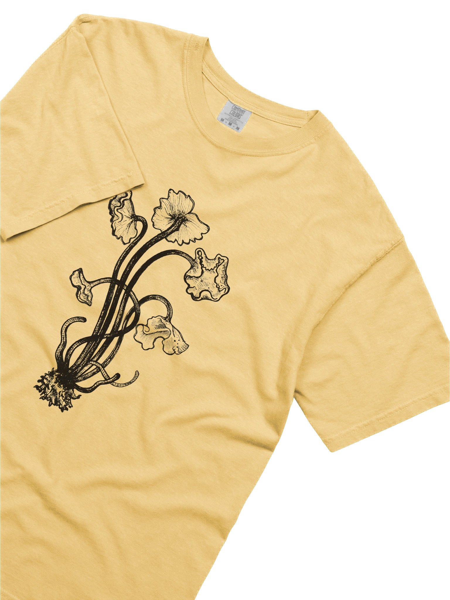 Brown Chanterelle - Print product image (45)