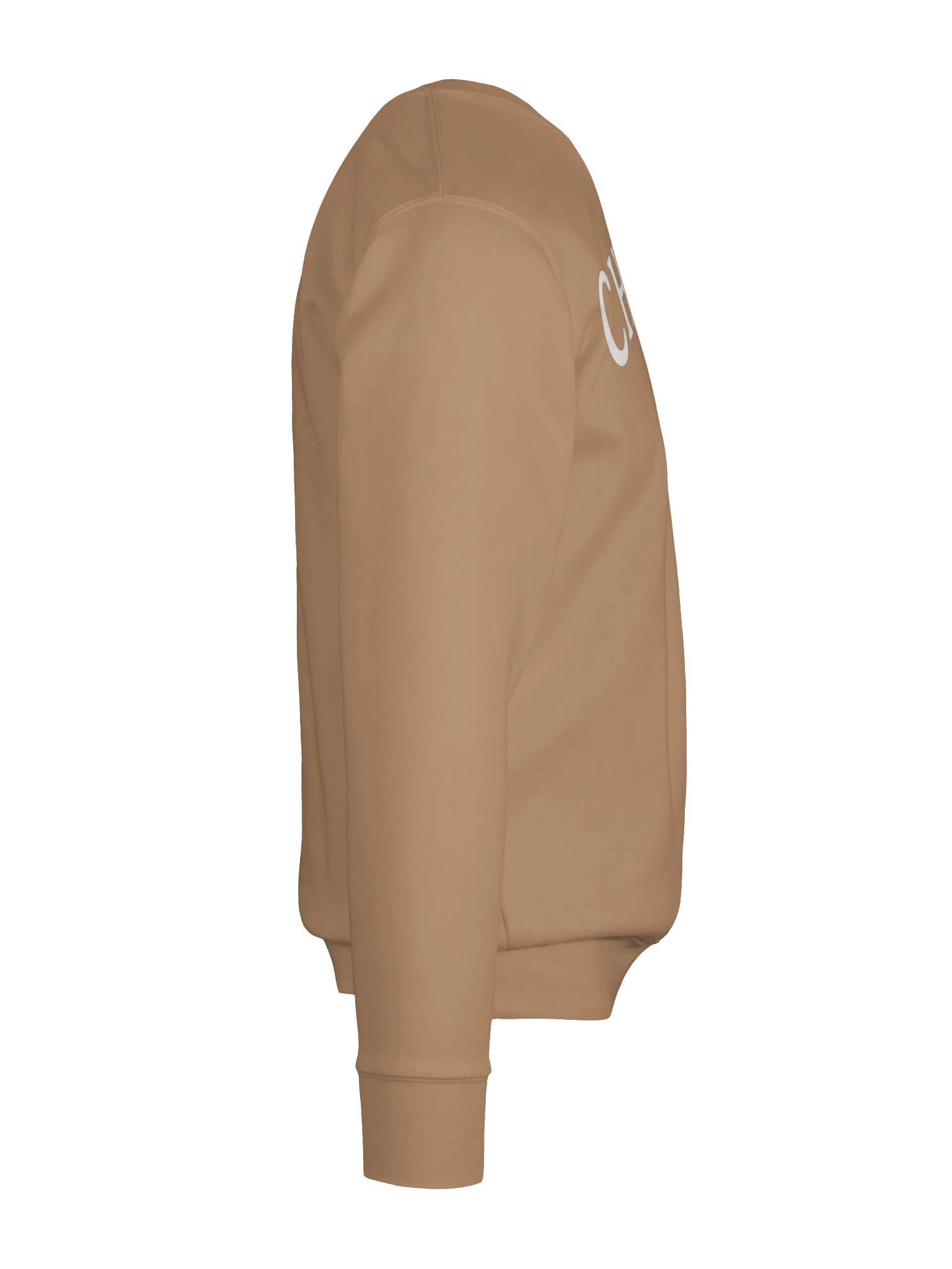 Chatty Campfire Premium Sweatshirt | Cozy Chatty Fall Collection product image (34)
